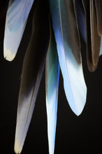 Load image into Gallery viewer, Mini Dream Catcher with Iridescent Beads and Colorful Natural Feathers