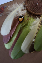 Load image into Gallery viewer, brown green dream catcher