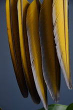 Load image into Gallery viewer, Small Blue and Yellow Dream Catcher