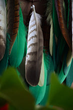 Load image into Gallery viewer, large brown green dream catcher