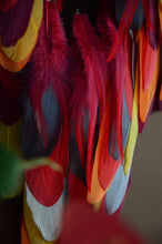 Load image into Gallery viewer, large colorful dream catcher
