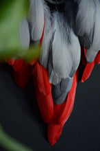 Load image into Gallery viewer, large gray red dream catcher