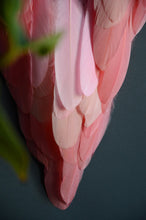 Load image into Gallery viewer, large black pink peach coral dream catcher