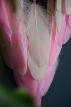 Load image into Gallery viewer, large pink beige green dream catcher