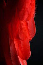 Load image into Gallery viewer, Red Dreamcatcher Wall Decor with Feathers – Handmade Boho Statement Accent
