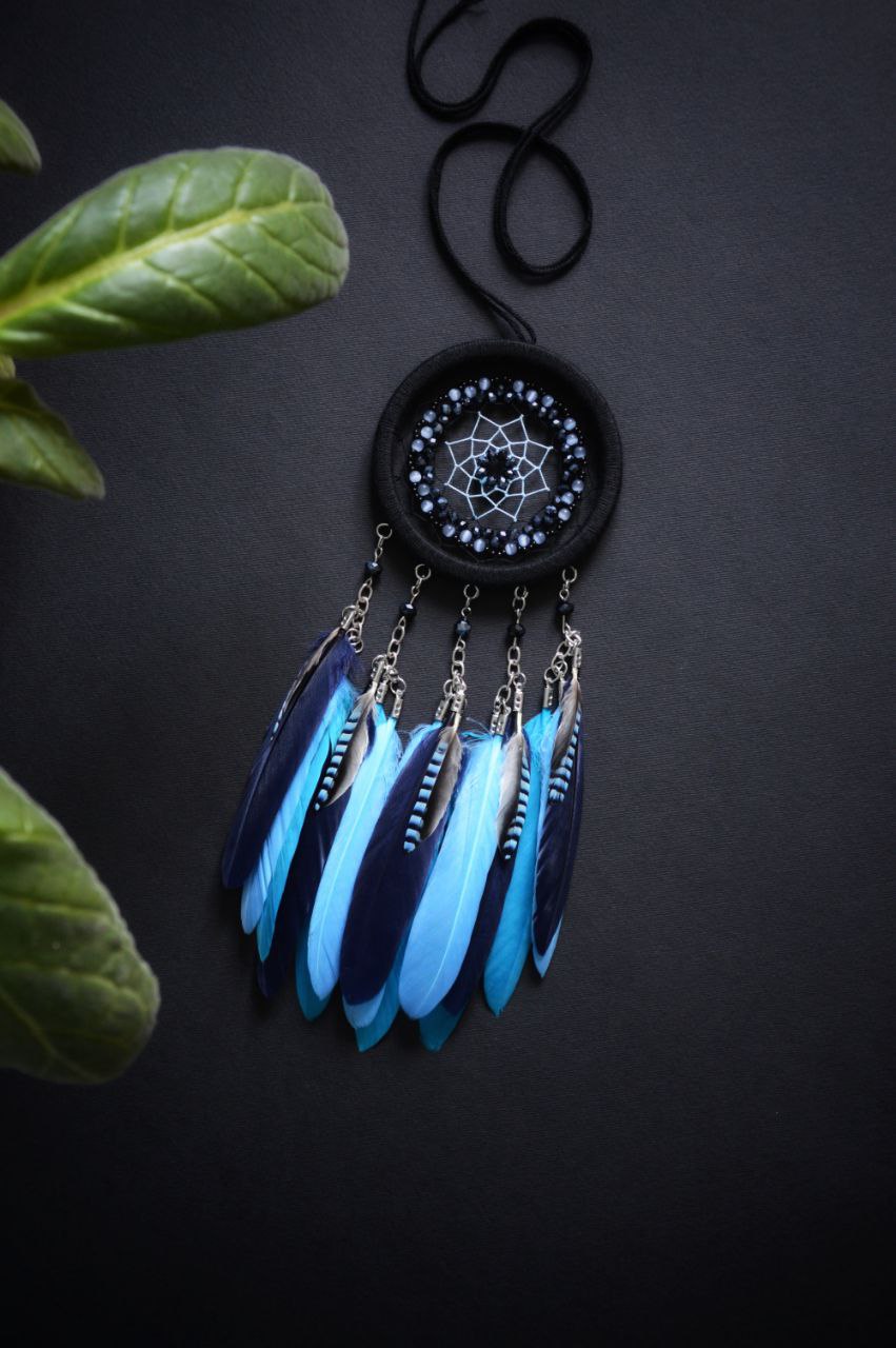 Small dream catcher with jay feathers